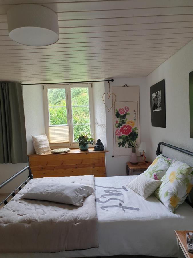 Agreable Chambre D'Hotes, Au Calme, Dans La Nature Roches Kültér fotó