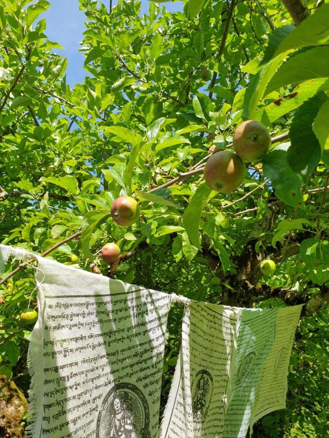 Agreable Chambre D'Hotes, Au Calme, Dans La Nature Roches Kültér fotó