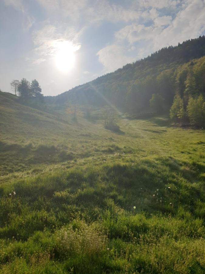Agreable Chambre D'Hotes, Au Calme, Dans La Nature Roches Kültér fotó