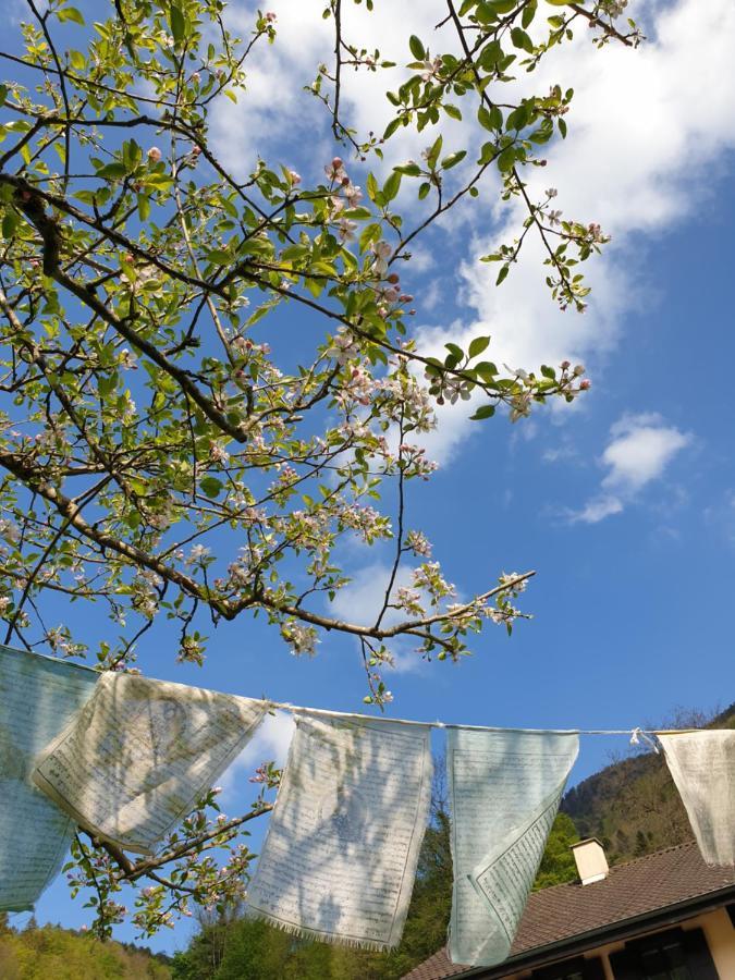 Agreable Chambre D'Hotes, Au Calme, Dans La Nature Roches Kültér fotó