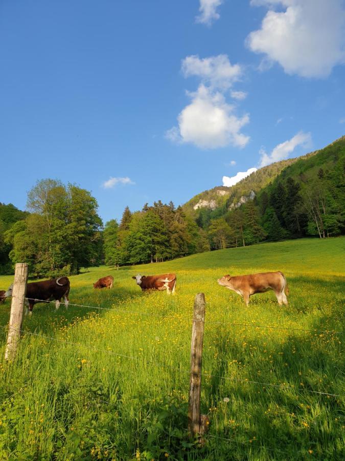Agreable Chambre D'Hotes, Au Calme, Dans La Nature Roches Kültér fotó