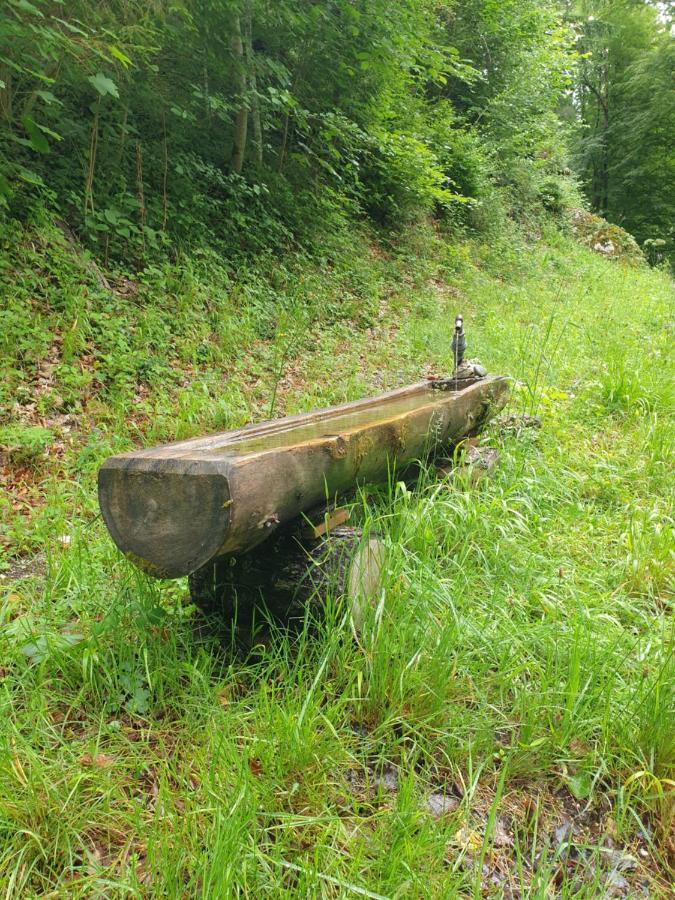 Agreable Chambre D'Hotes, Au Calme, Dans La Nature Roches Kültér fotó