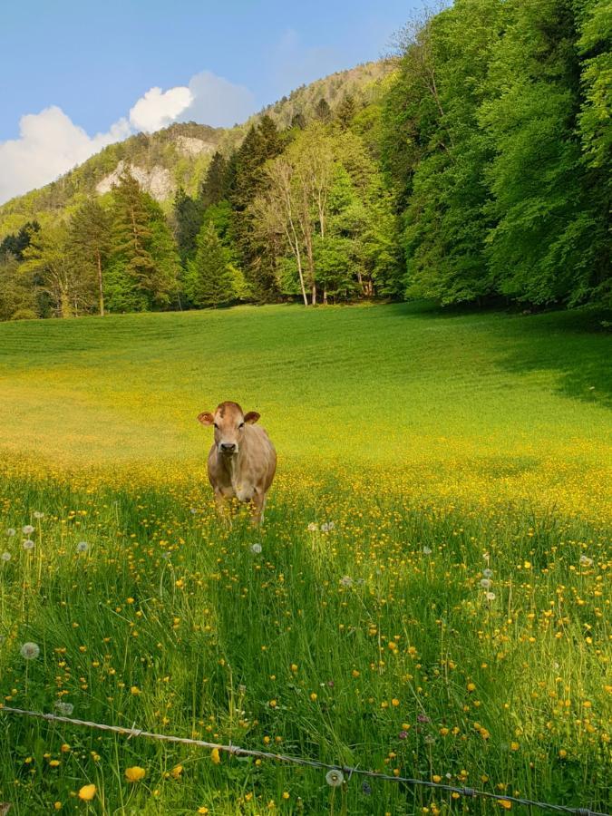 Agreable Chambre D'Hotes, Au Calme, Dans La Nature Roches Kültér fotó